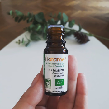 Le pin sylvestre contre la toux sèche en hiver