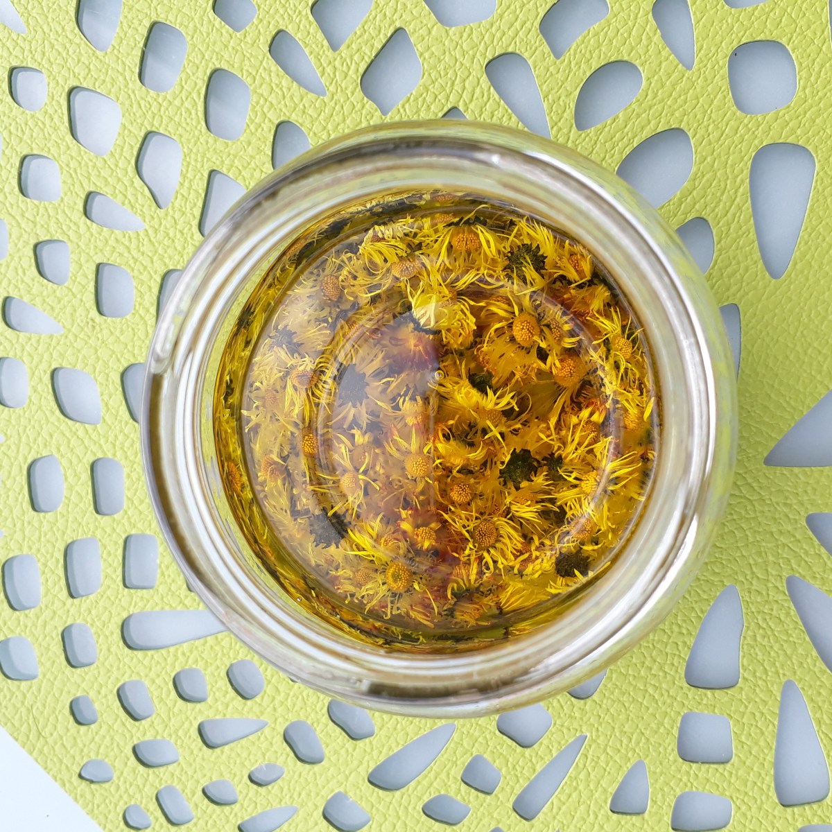 Faire son macérât huileux de pâquerettes soi-même : la&nbsp;recette