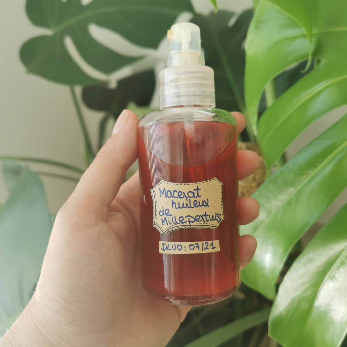 Recette de l&rsquo;huile de millepertuis maison : un macérât huileux anti-inflammatoire
