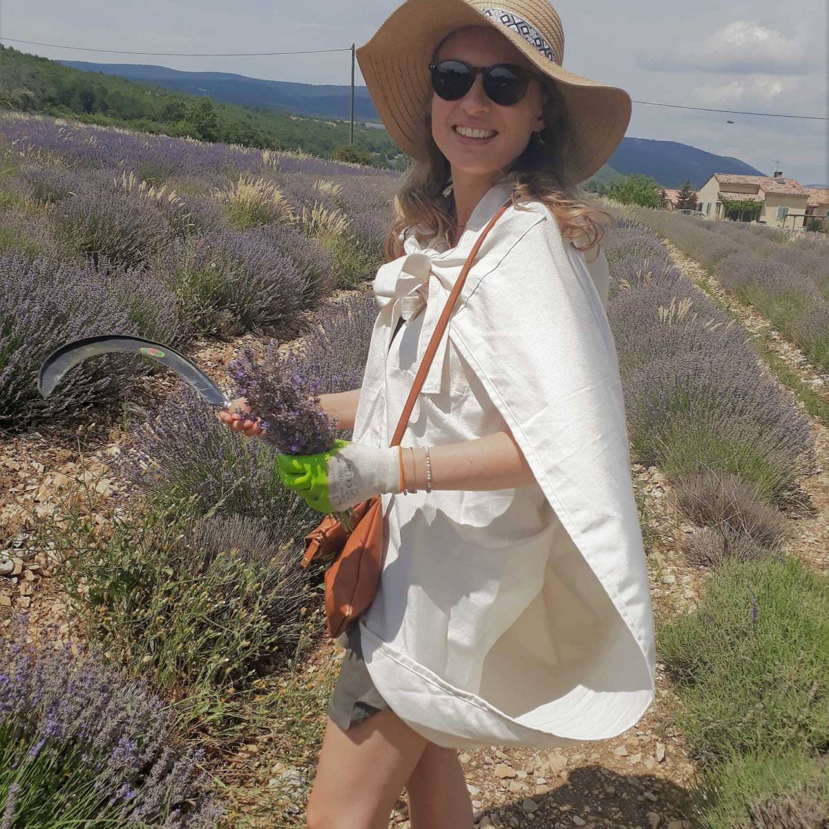 Lavande vraie, fine, officinale, aspic, lavandin : quelles&nbsp;différences