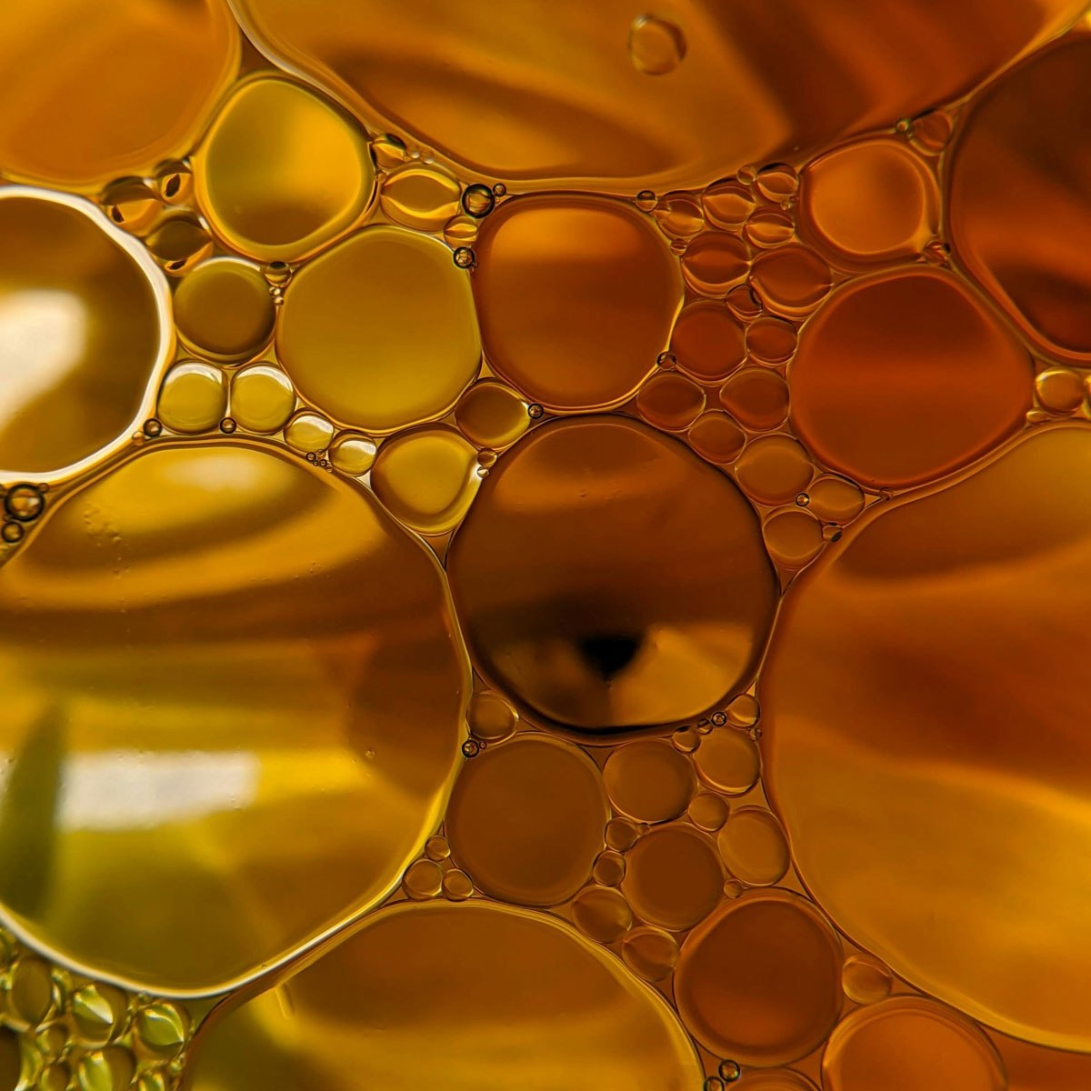 Quelle huile végétale, macérât huileux ou beurre végétal choisir pour ma peau&nbsp;?